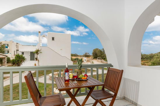 Double room with garden view